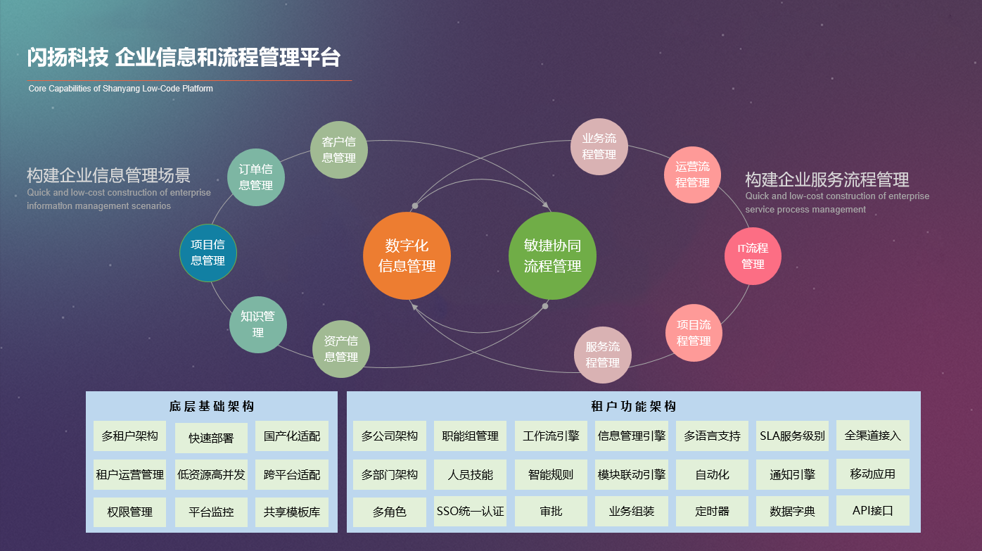 闪扬低代码 闪扬低代码